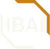 Institute of Business AI